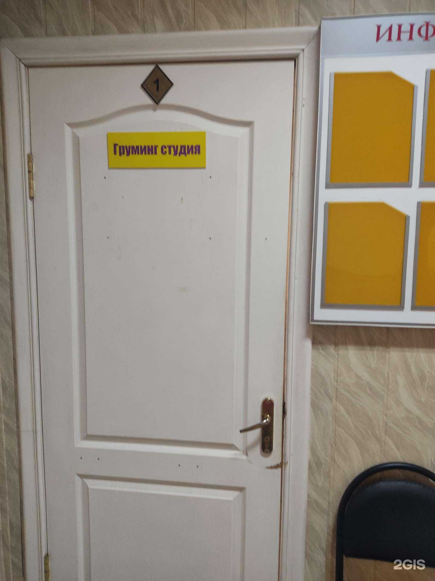 Отзывы на компанию Груминг-студия в г. Бор c фото