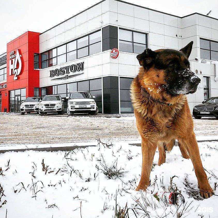 Отзывы на компанию H2O в Набережных Челнах c фото