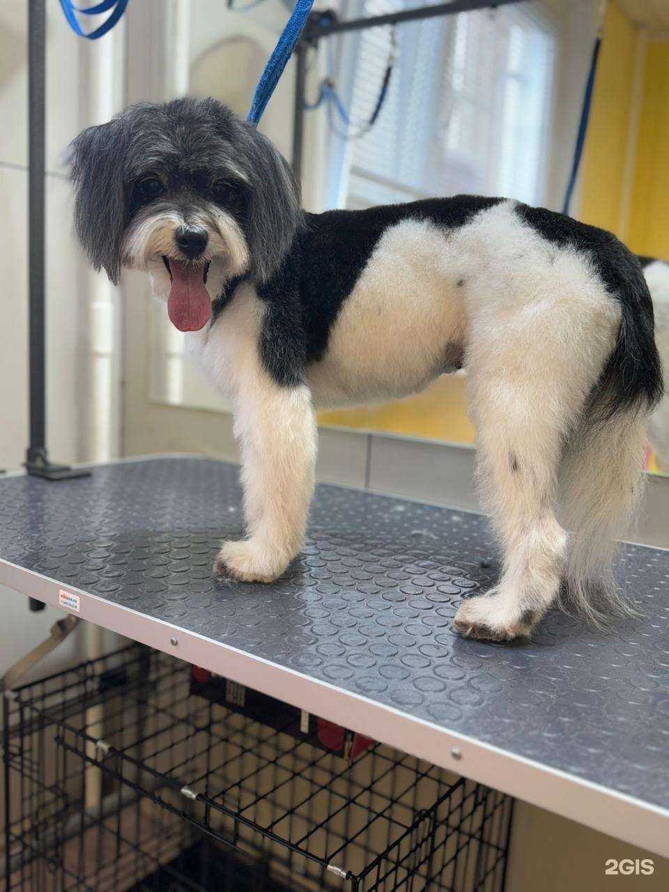 Отзывы на компанию Happy Groom в г. Химки c фото