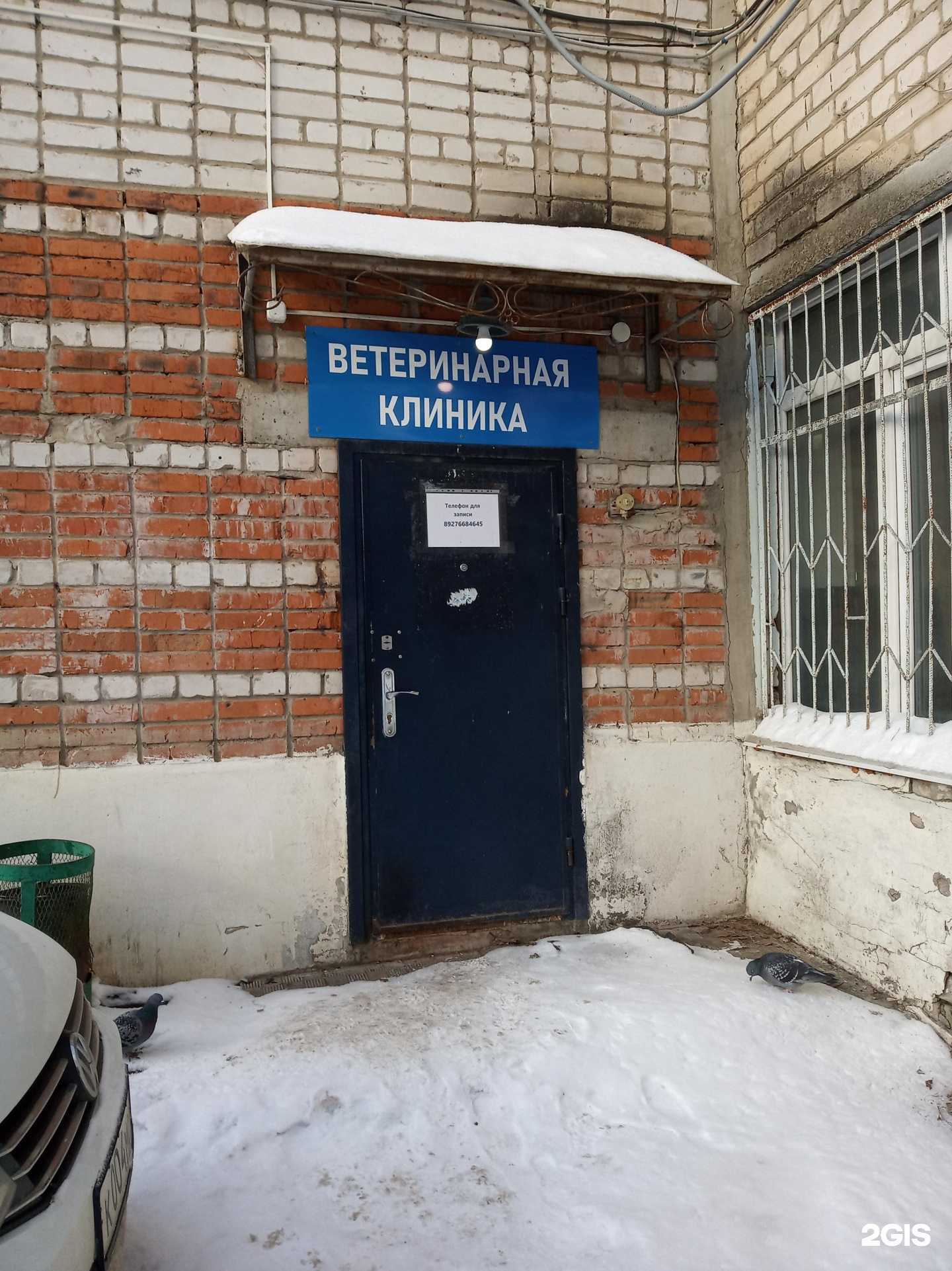 Отзывы на компанию Ветеринарная клиника ортопедии и травматологии домашних питомцев в г. Чебоксары c фото