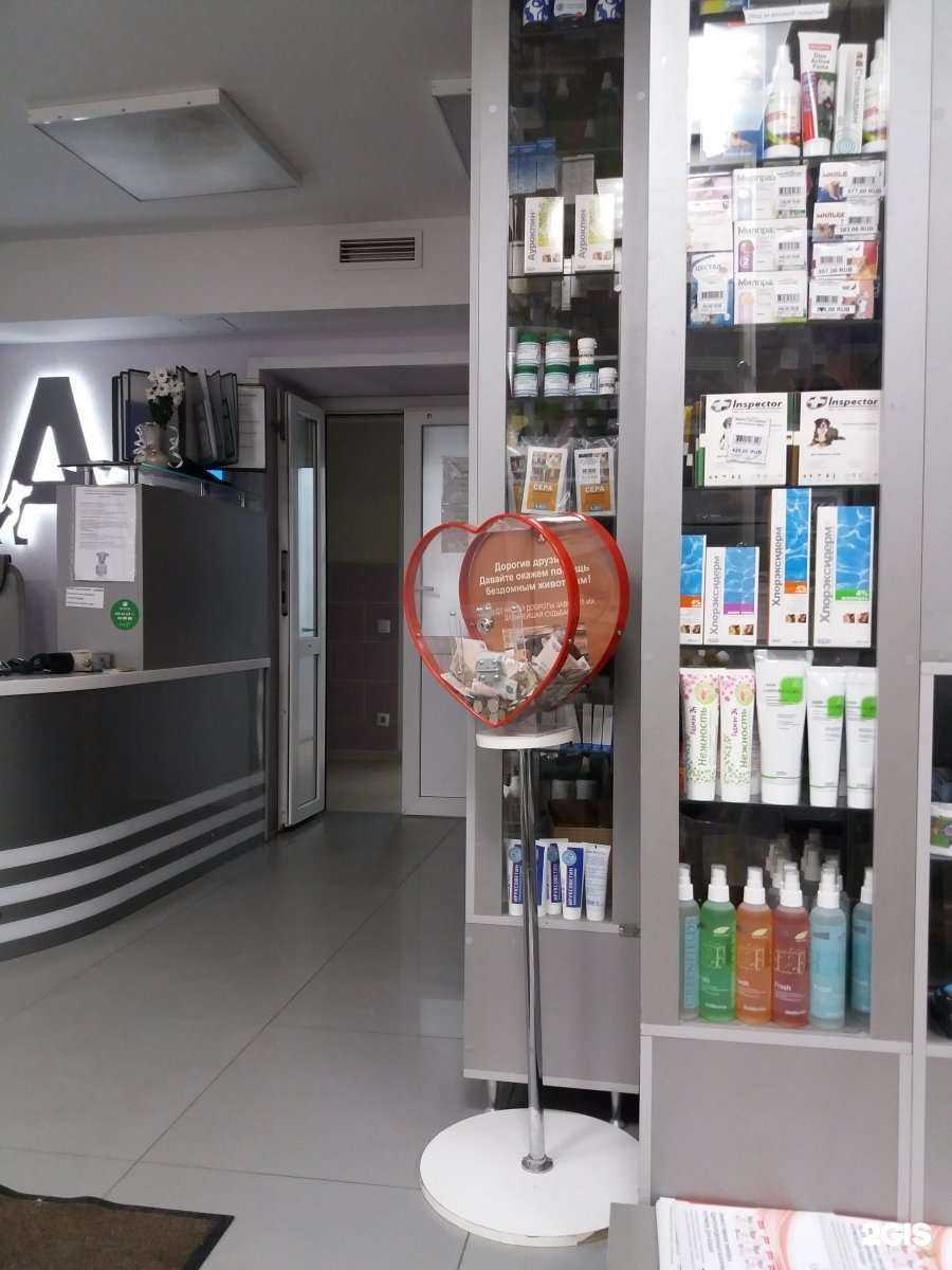Отзывы на компанию Айболит в Волгограде c фото