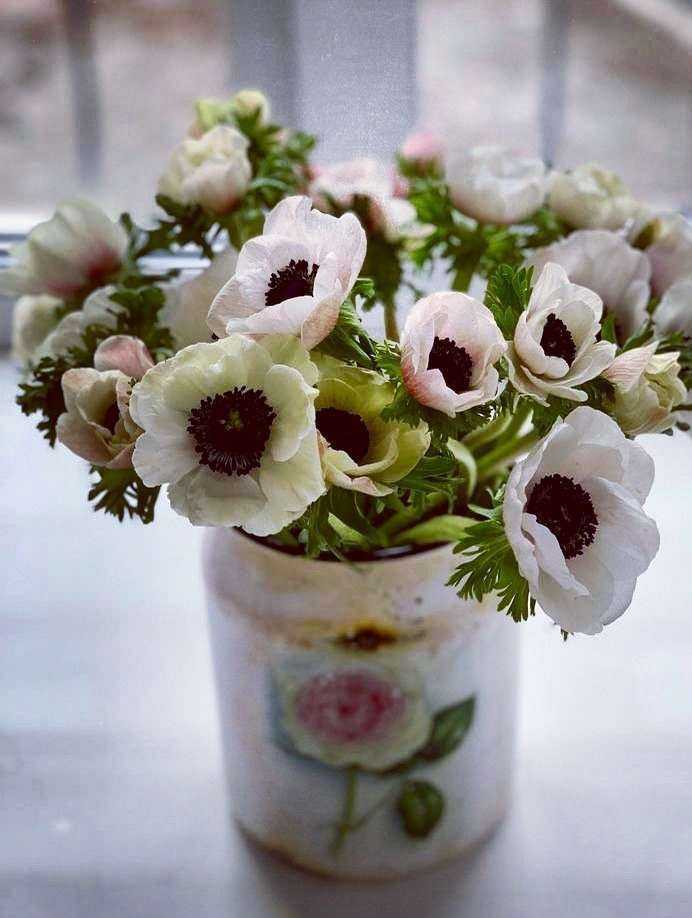 Отзывы на компанию M. B. Flowers в Екатеринбурге c фото