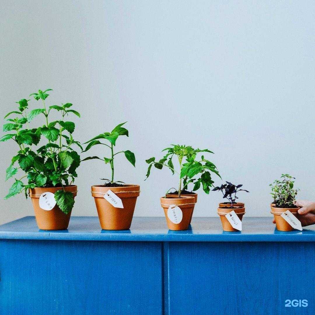 Отзывы на компанию Апрель-Сервис в Красноярске c фото