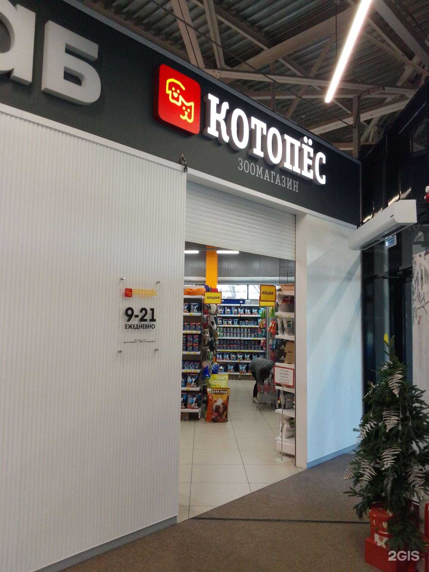 Отзывы на компанию Котопёс в Хабаровске c фото