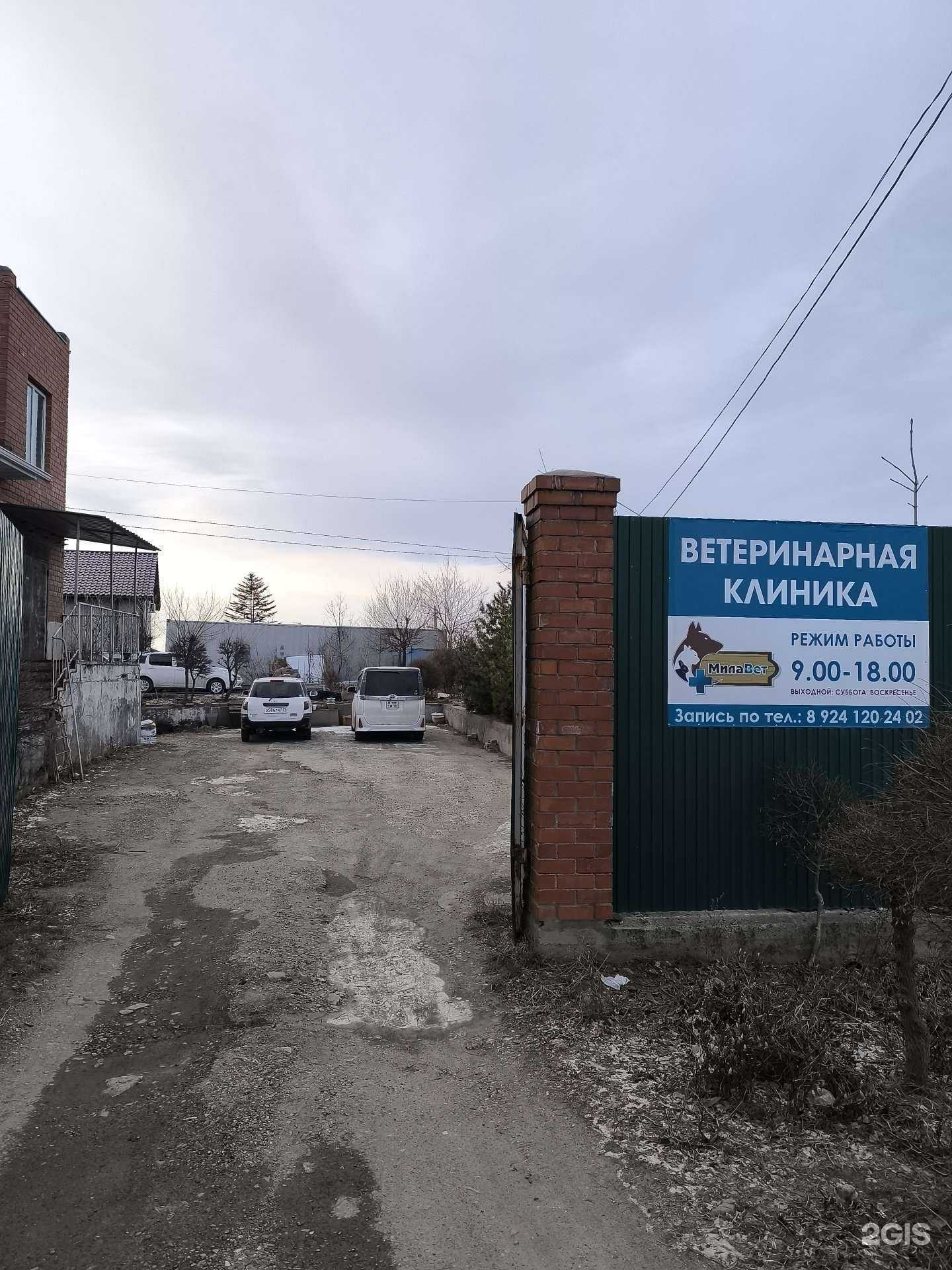 Отзывы на компанию МилаВет в Артёме c фото