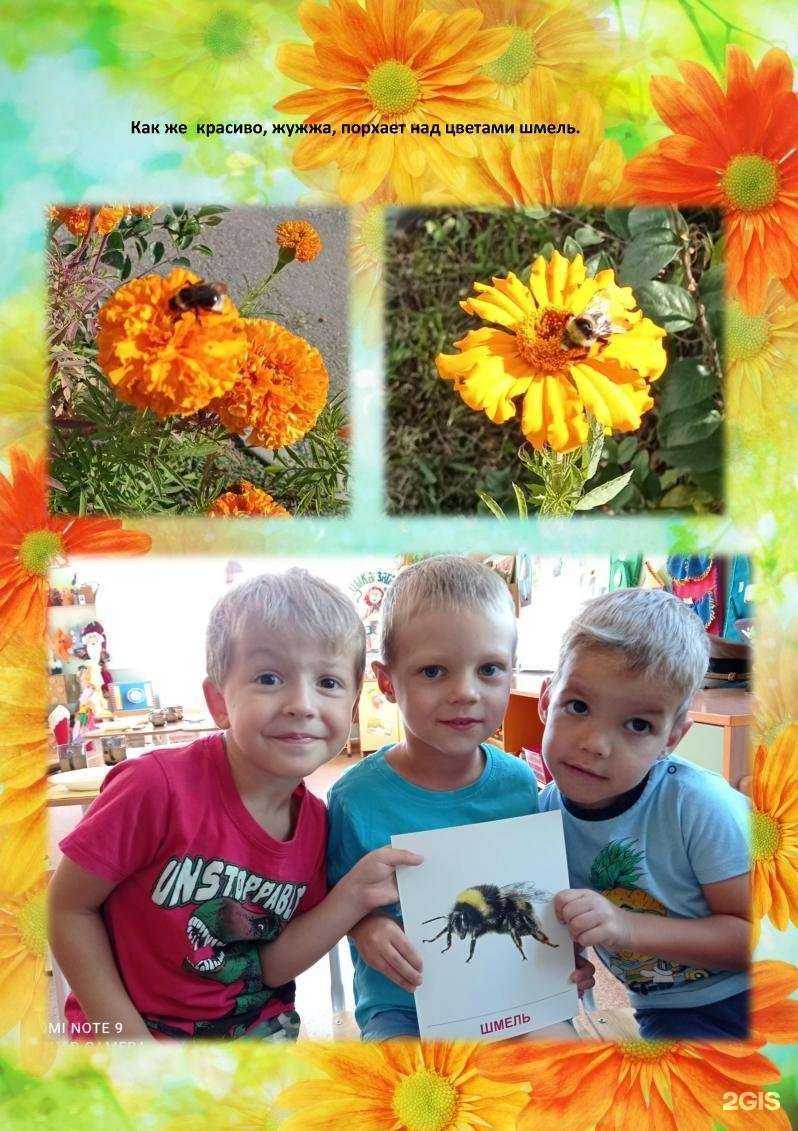 Отзывы на компанию Страна чудес в Барнауле c фото