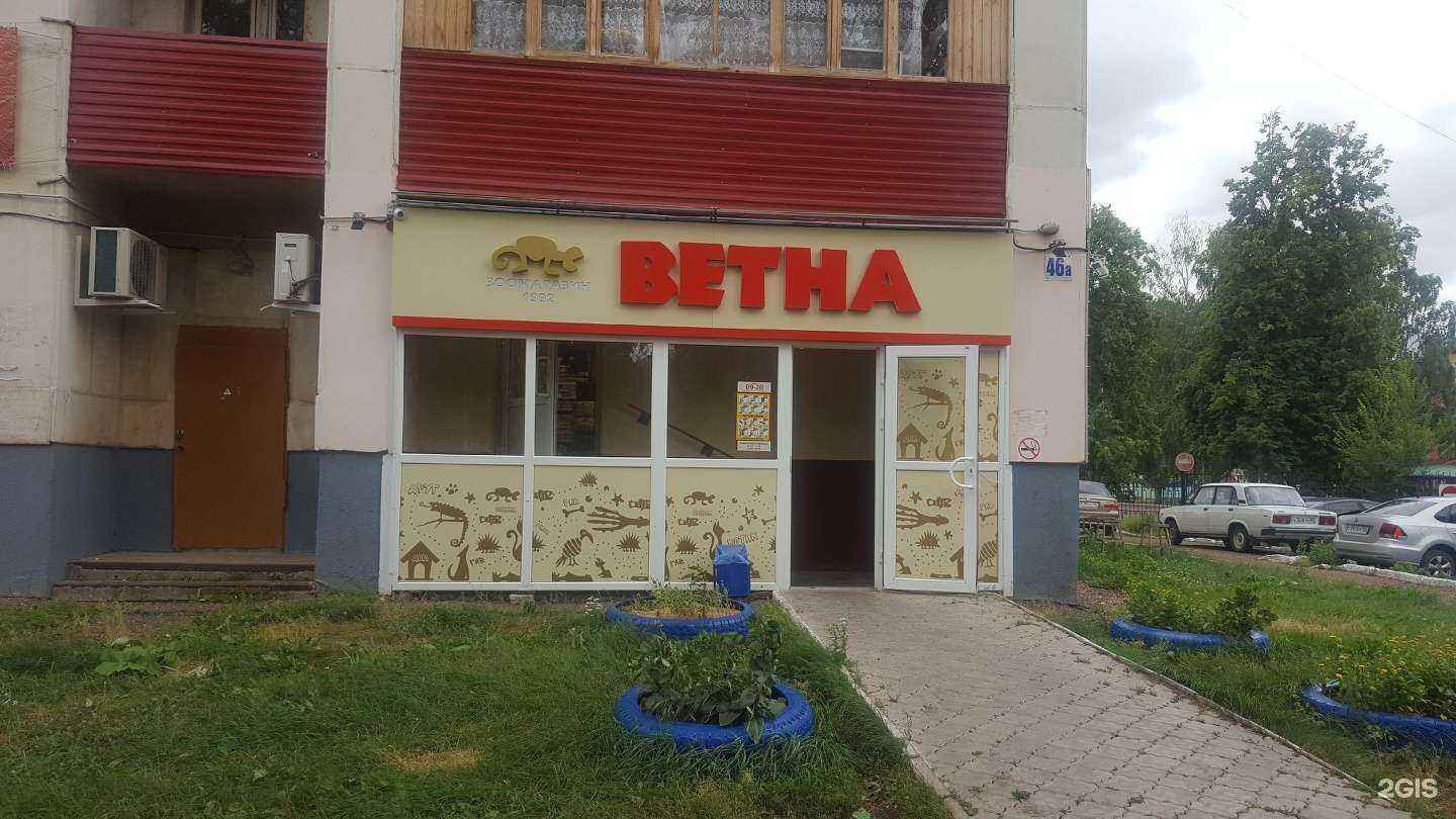 Отзывы на компанию Ветна в Салавате c фото - фотография 2 из 2