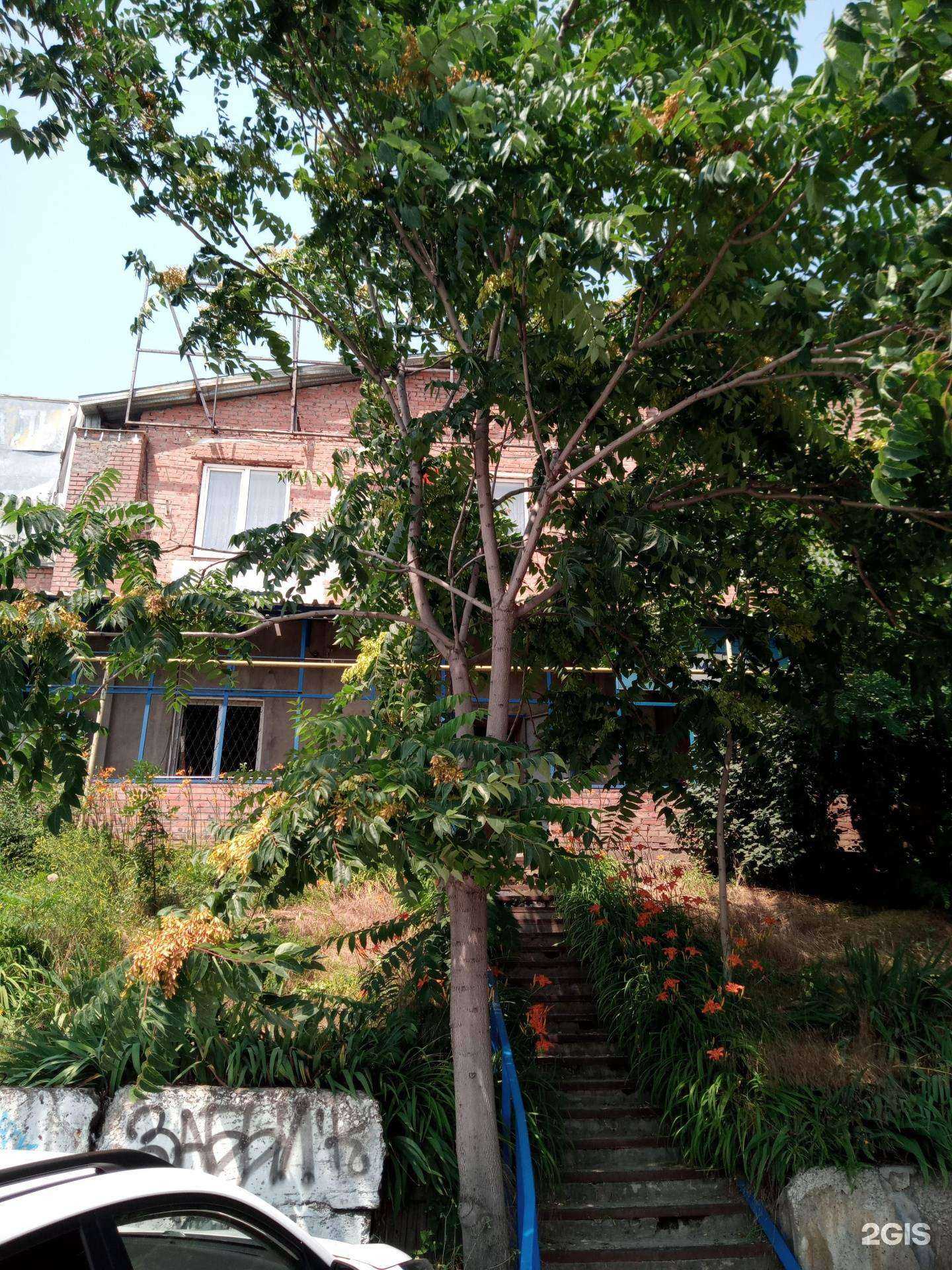 Отзывы на компанию Смарт в Ростове-на-Дону c фото - фотография 2 из 2