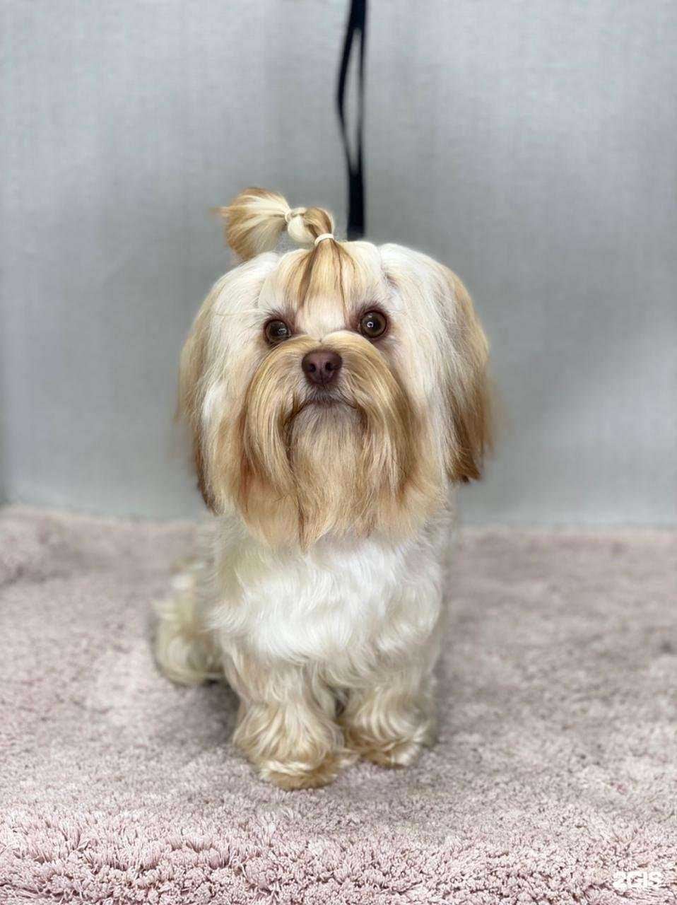 Отзывы на компанию Красный кролик в г. Новосибирск c фото