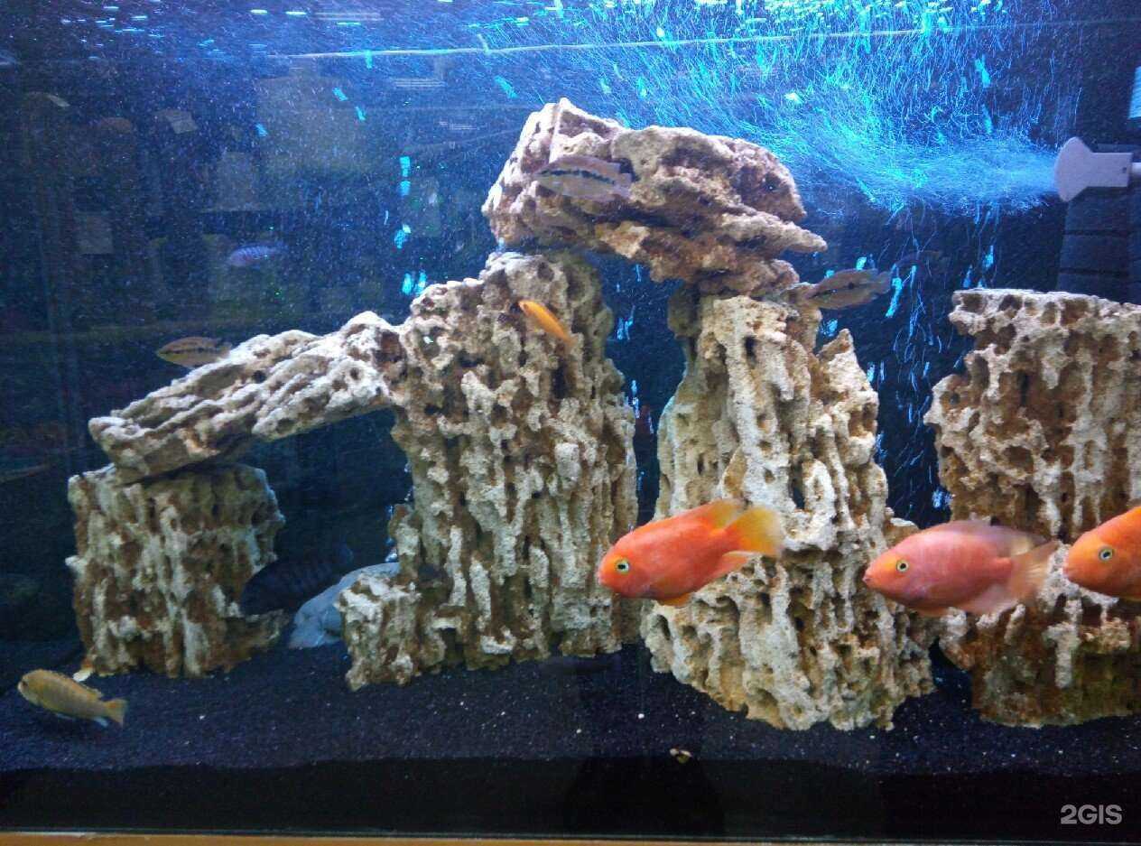 Отзывы на компанию Бонифаций в Саратове c фото