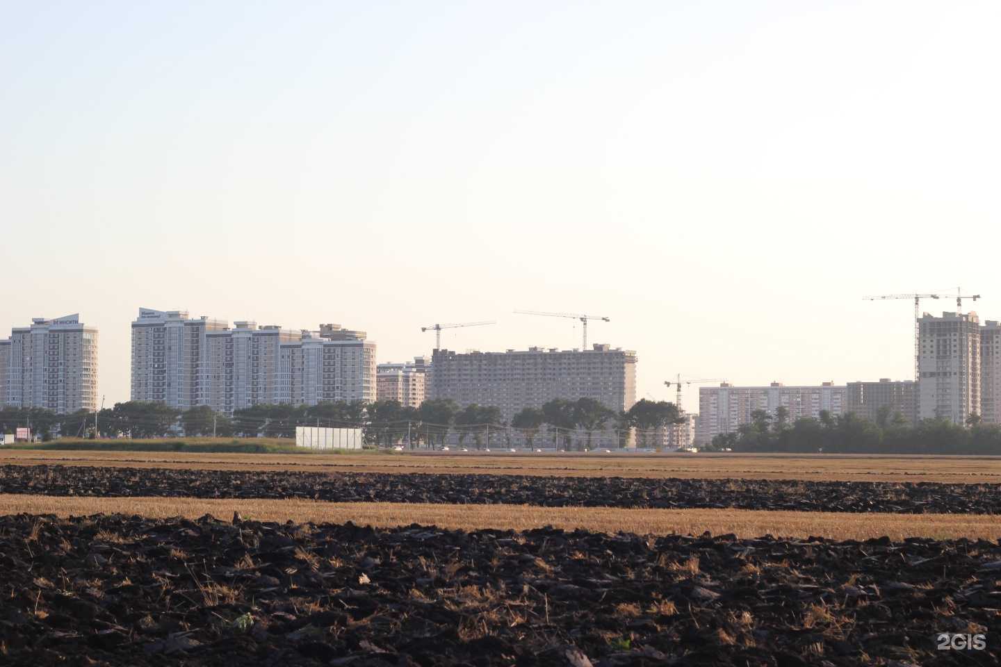 Отзывы на компанию Социальная Аптека в Краснодаре c фото - фотография 2 из 2