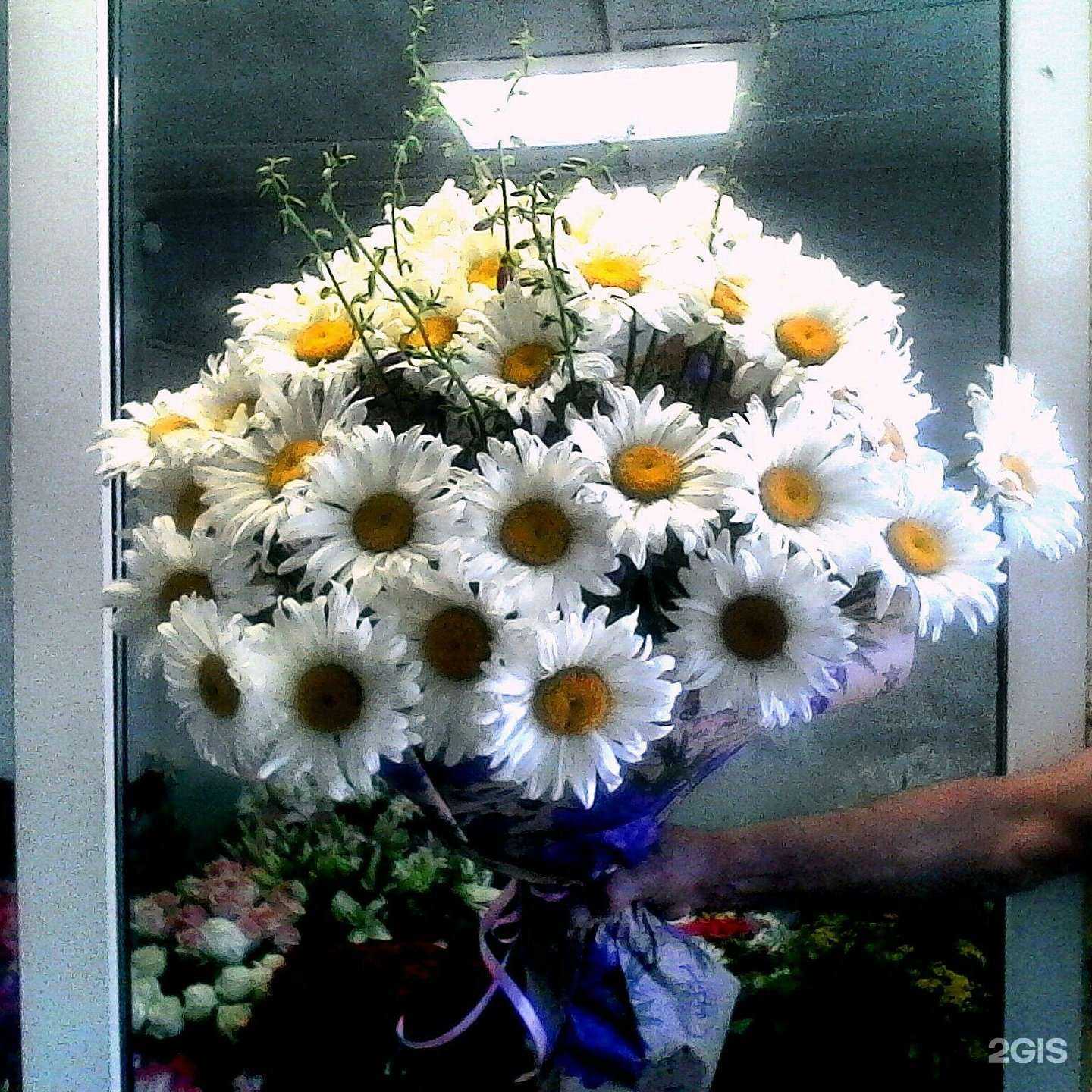 Отзывы на компанию Цветочный салон в г. Волгоград c фото