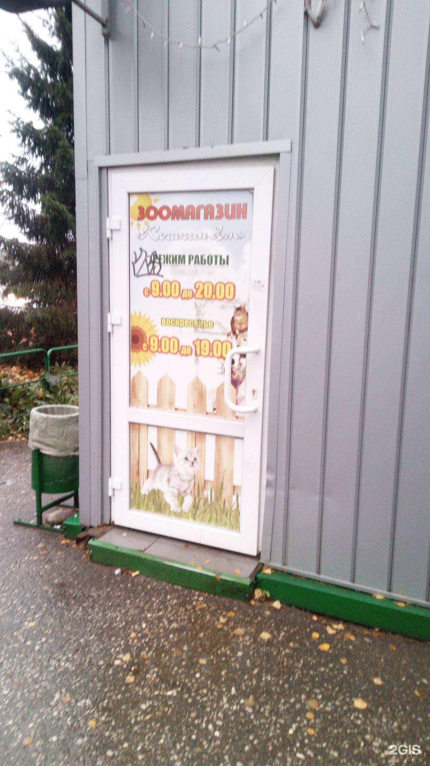 Отзывы на компанию Кошкин дом в Владимире c фото