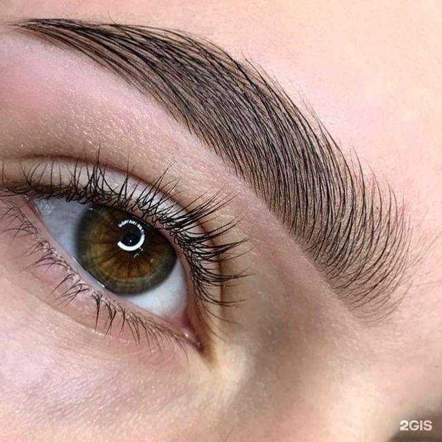 Отзывы на компанию Estetica в Новосибирске c фото