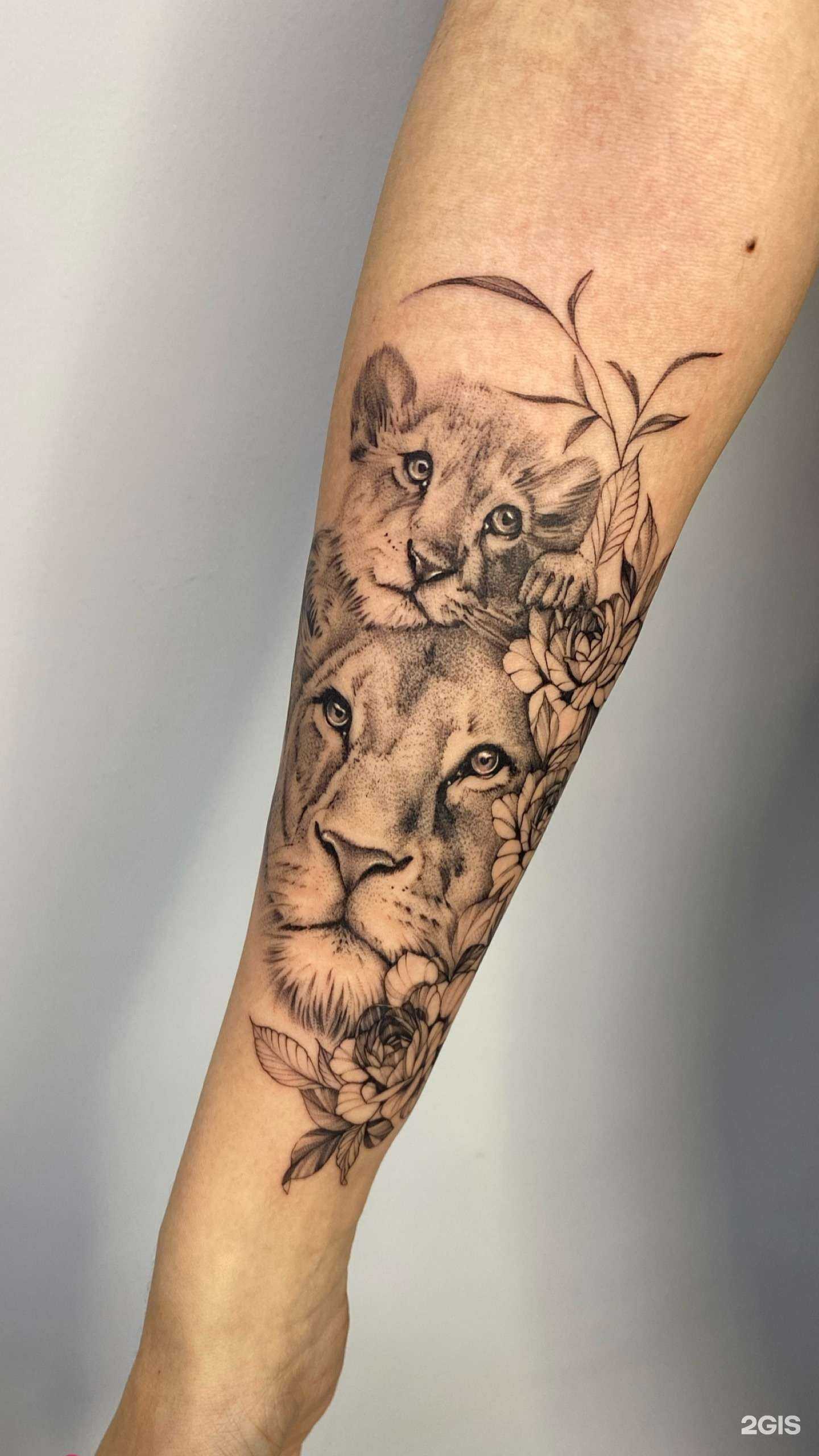 Отзывы на компанию Salvador koli в г. Новокузнецк c фото