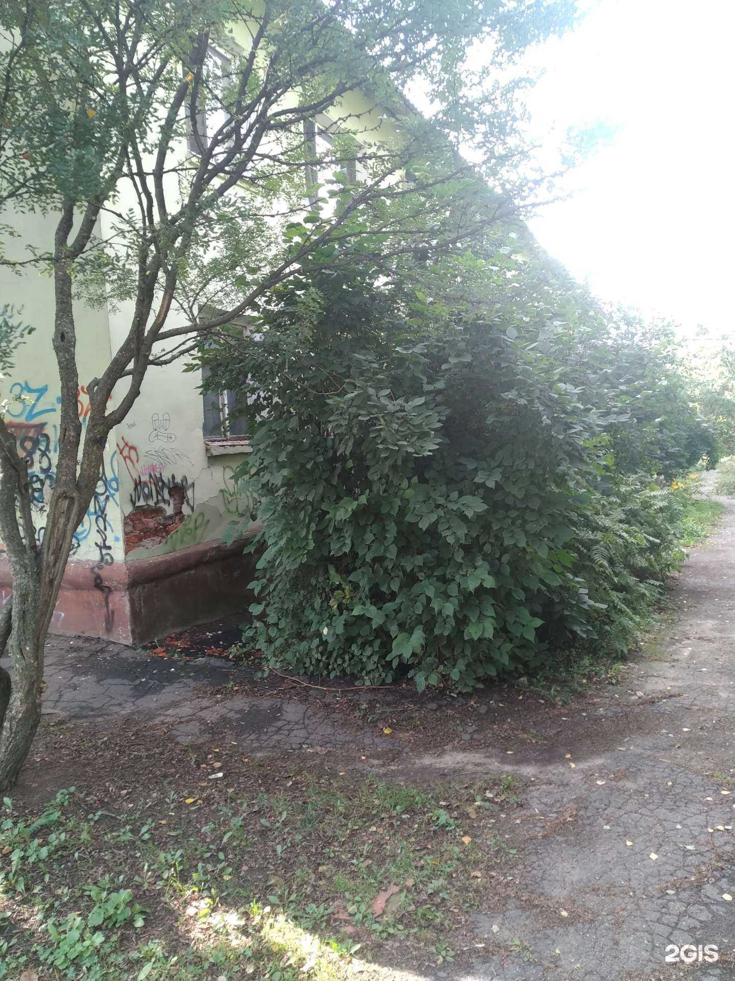 Отзывы на компанию Служба эвакуации автомобилей в Ногинске c фото