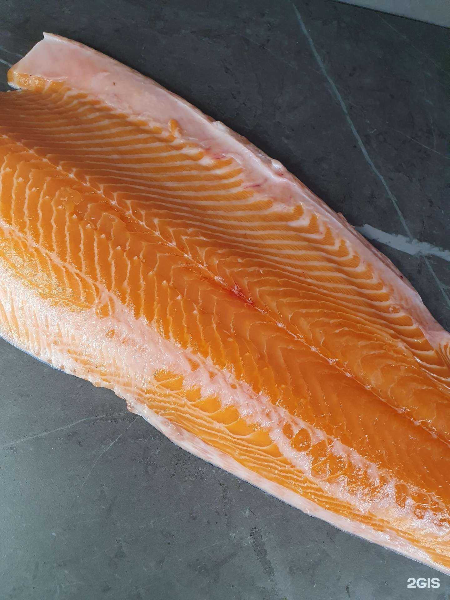 Отзывы на компанию Red fish в Краснодаре c фото