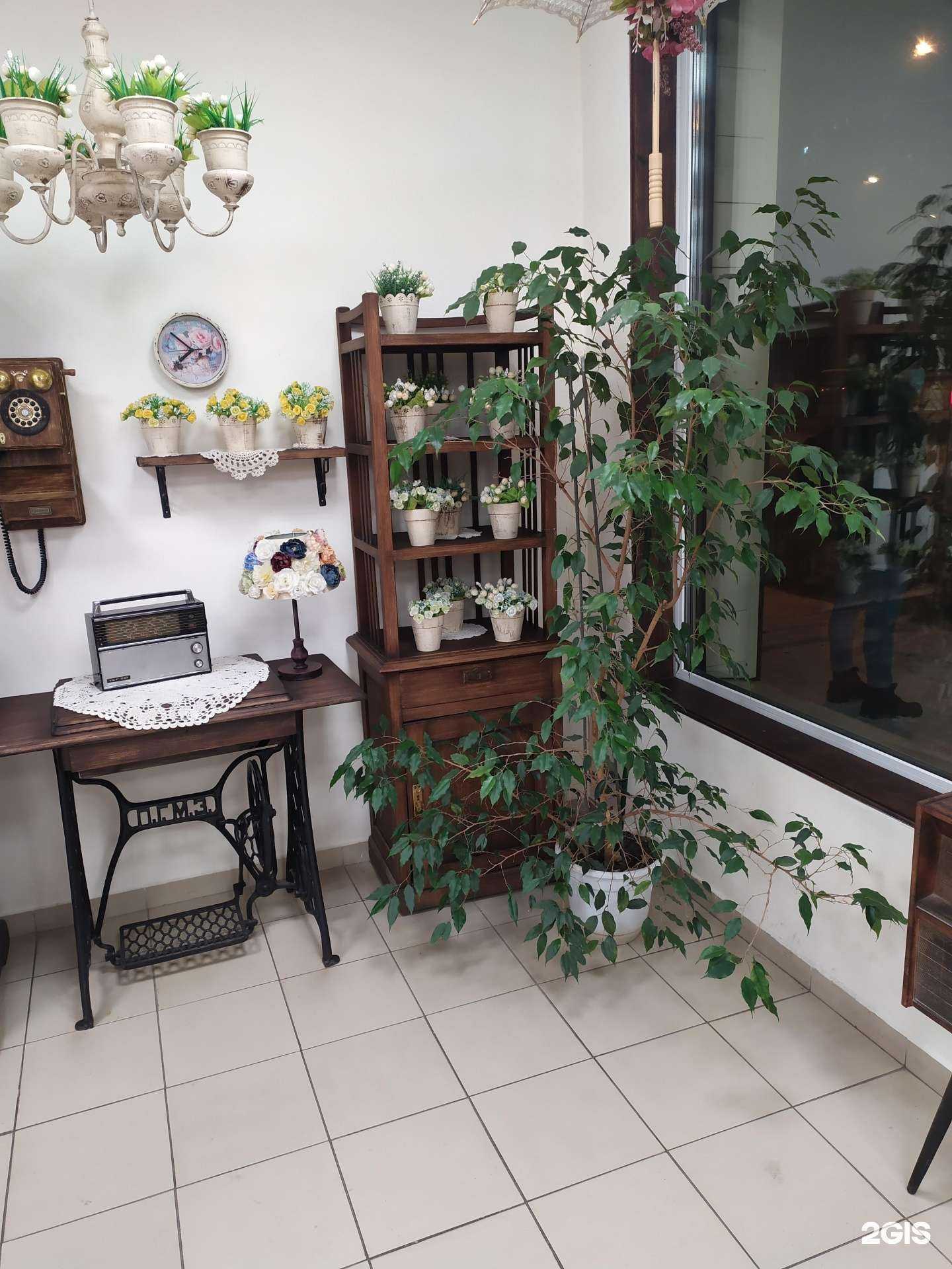 Отзывы на компанию Мой доктор в г. Томск c фото