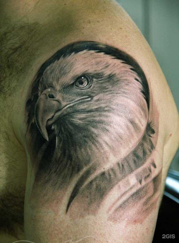 Отзывы на компанию Grey в Новороссийске c фото