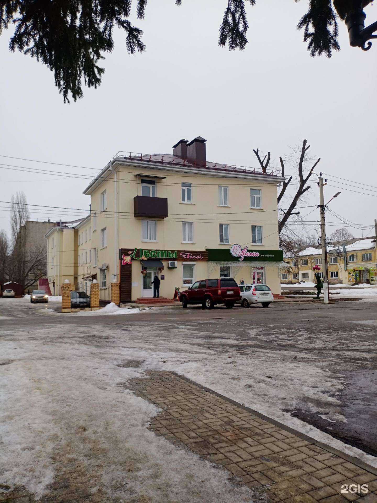 Отзывы на компанию Королевские топиари в Борисоглебске c фото - фотография 2 из 2