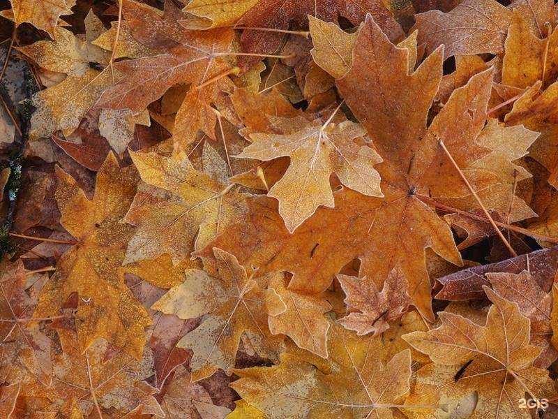 Отзывы на компанию Керамика в Омске c фото