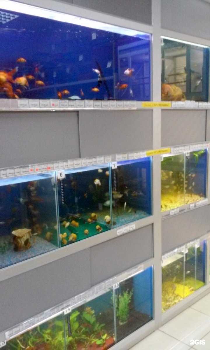 Отзывы на компанию Ареал в г. Тольятти c фото