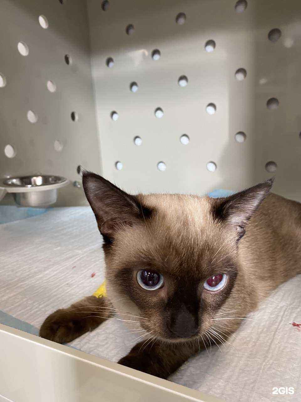 Отзывы на компанию Дейли в г. Оренбург c фото