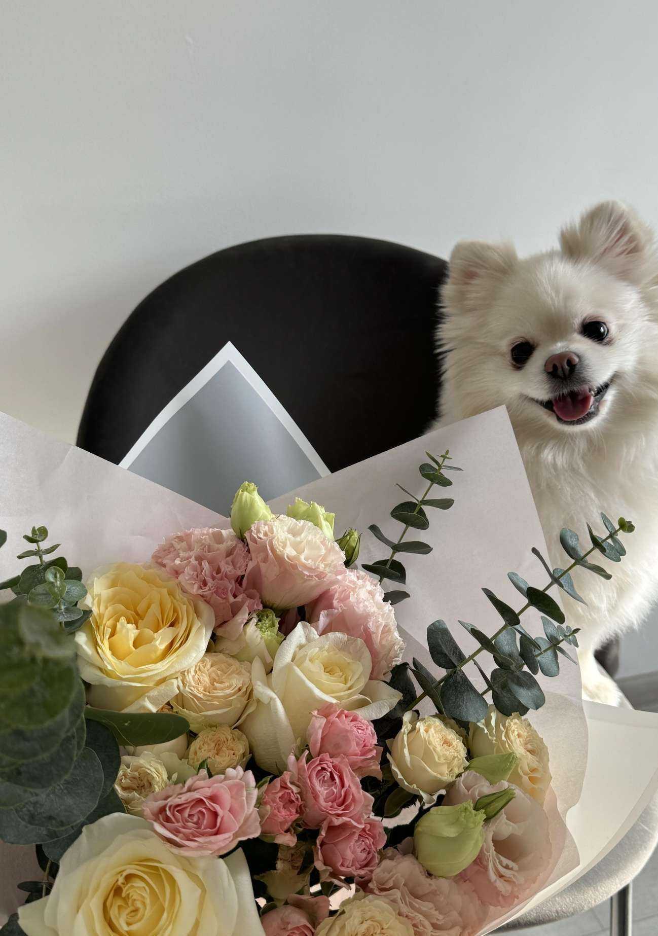 Отзывы на компанию Kate.M в Владивостоке c фото