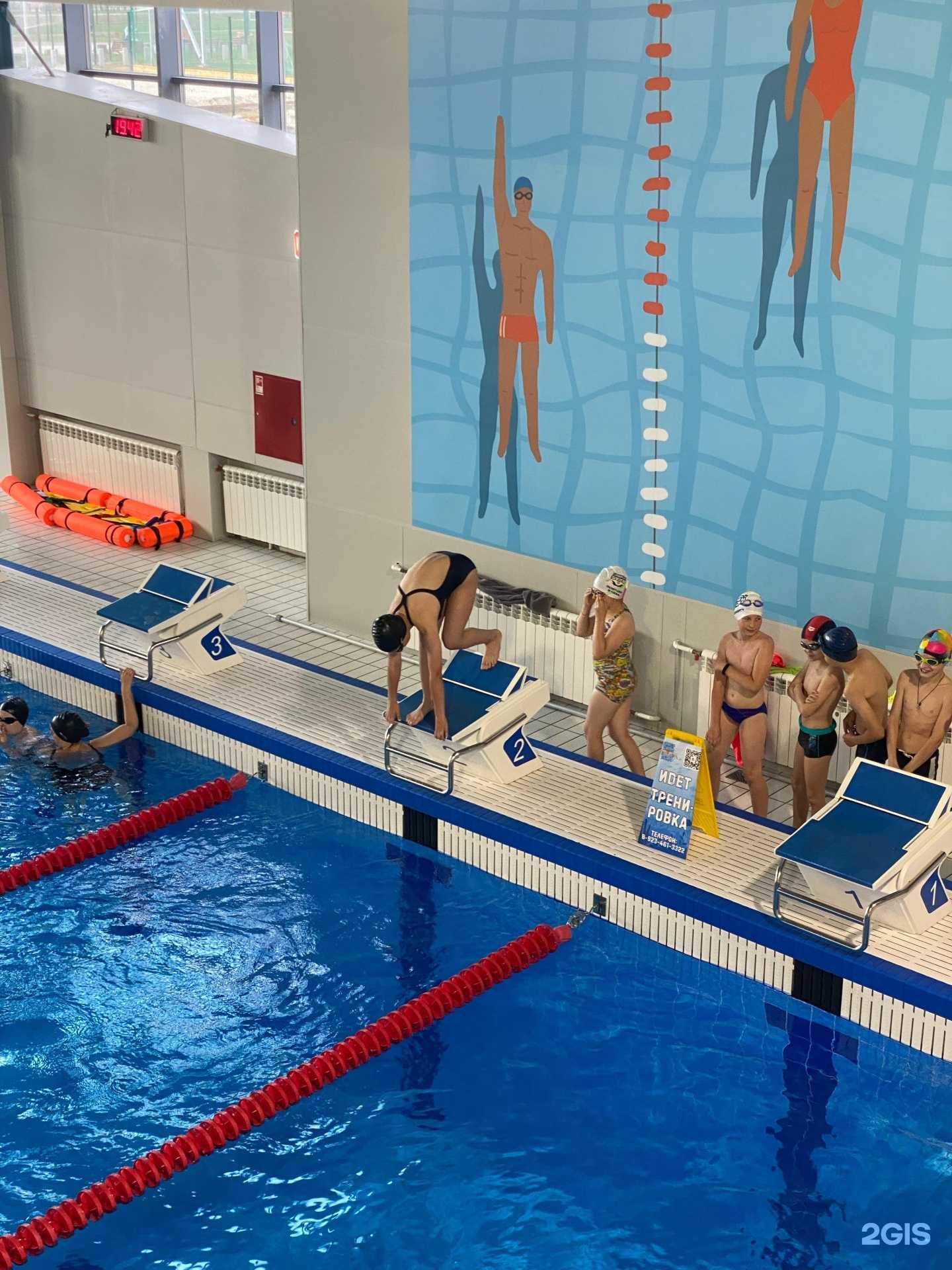 Отзывы на компанию Simply swim в г. Кемерово c фото