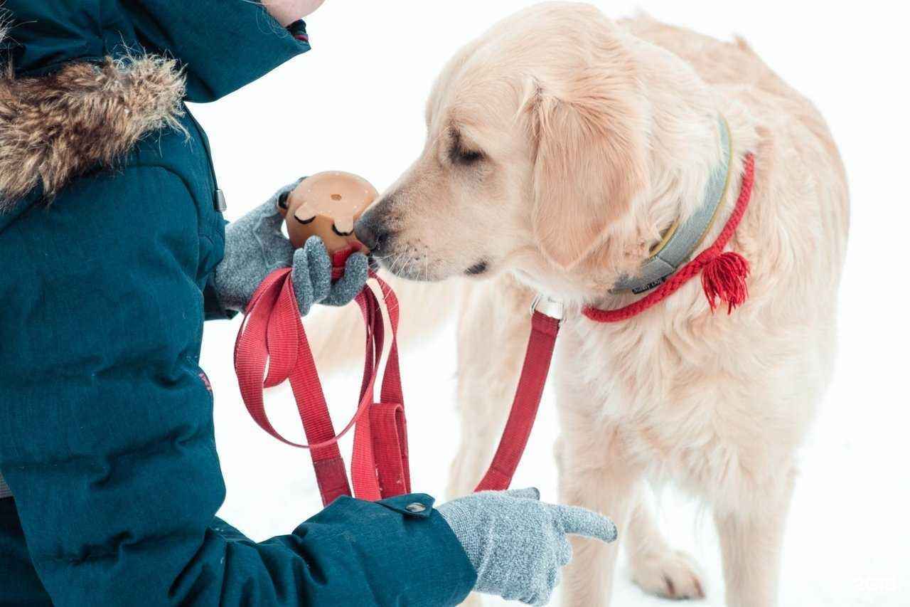 Отзывы на компанию Джульбарс в г. Волгоград c фото