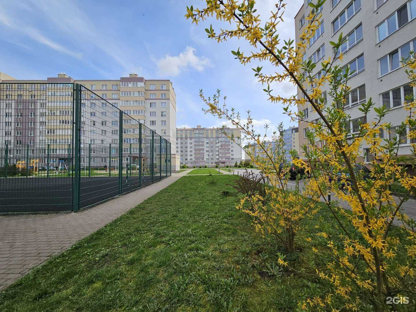 Отзывы на компанию Живая вода в Калининграде c фото - фотография 2 из 2