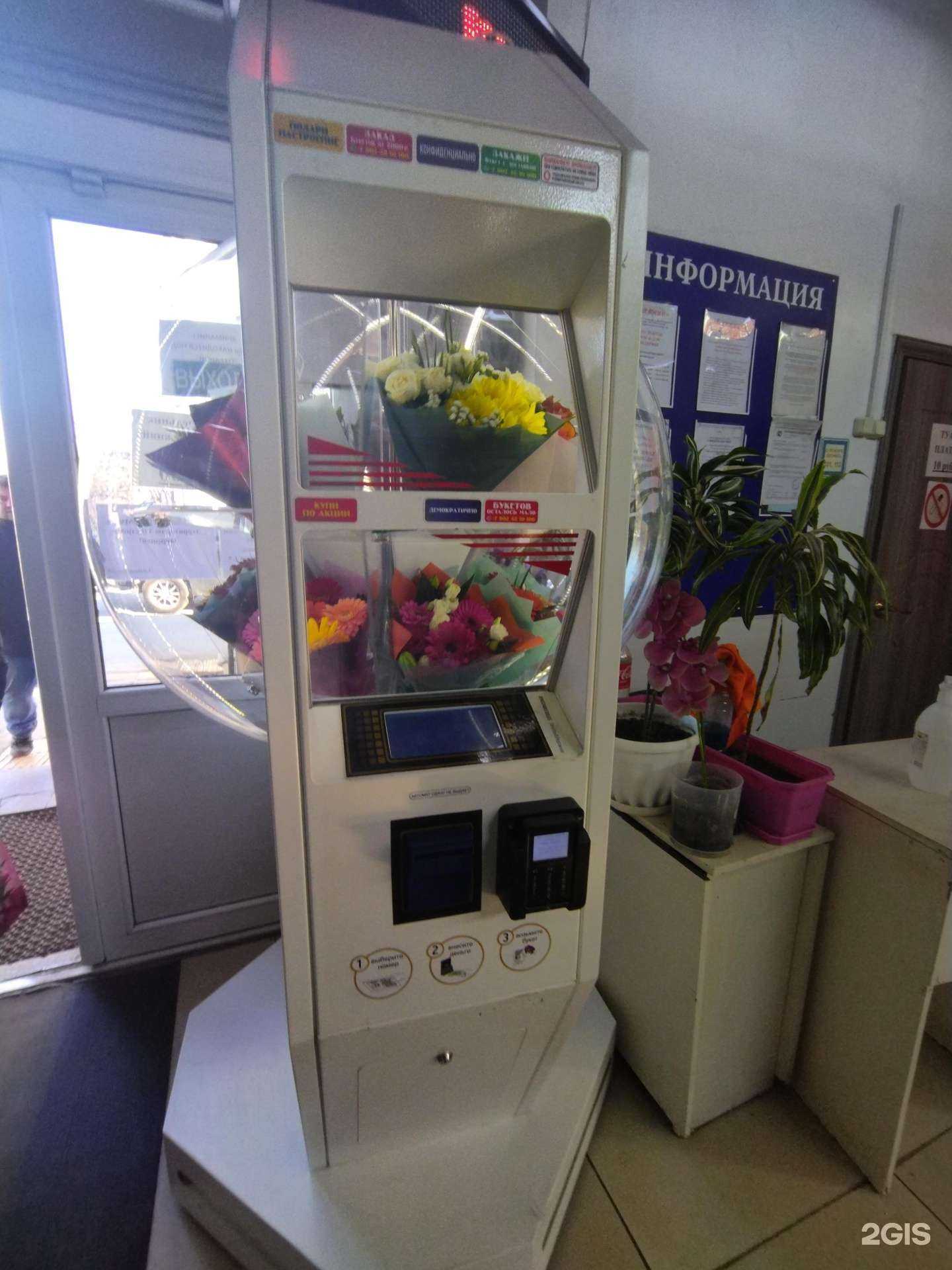 Отзывы на компанию Цветомат в г. Владивосток c фото