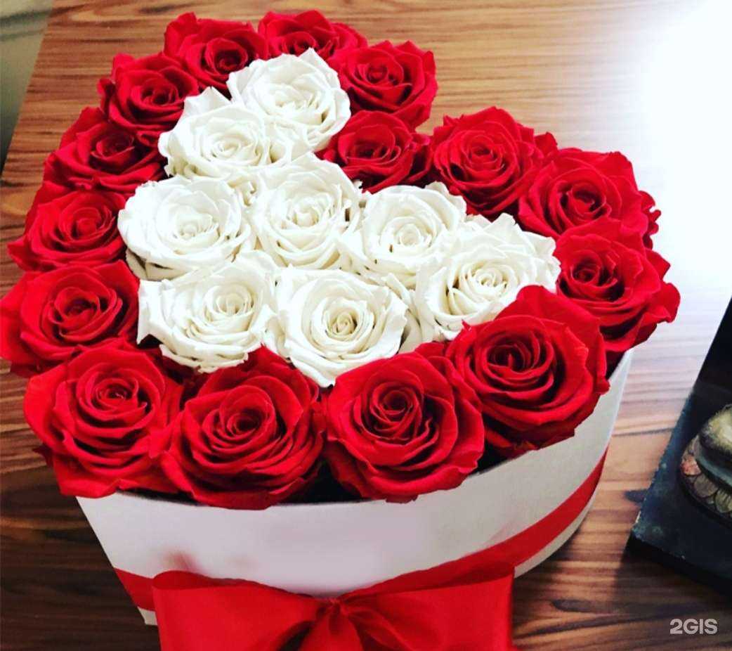 Отзывы на компанию Золотая Лилия в Сочи c фото