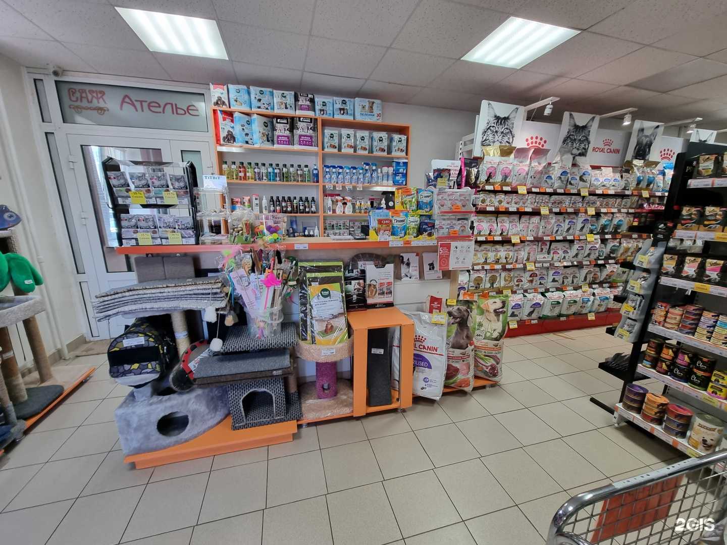 Отзывы на компанию Зоомаркет в Тюмени c фото