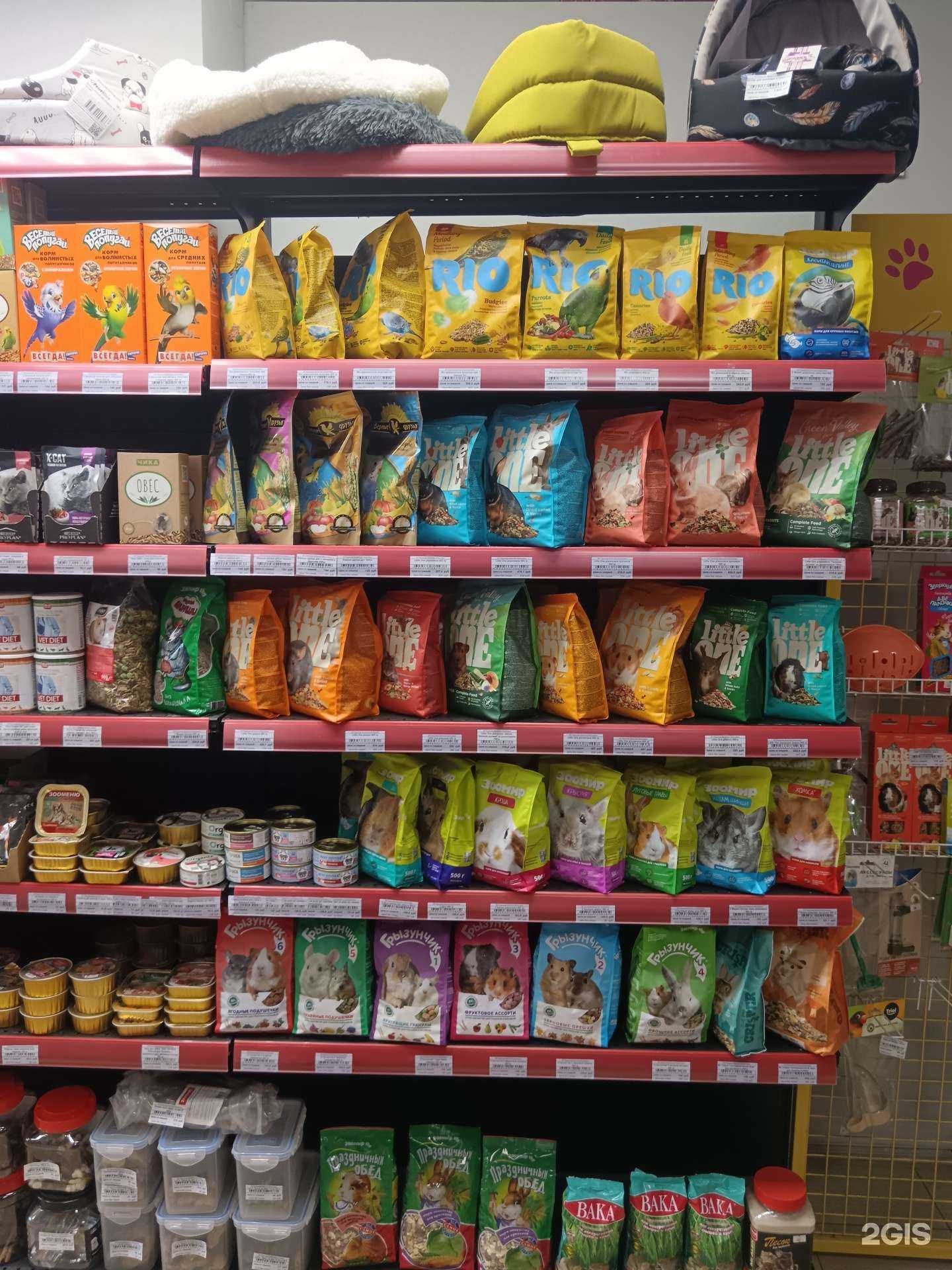 Отзывы на компанию Зоомаркет в Петрозаводске c фото