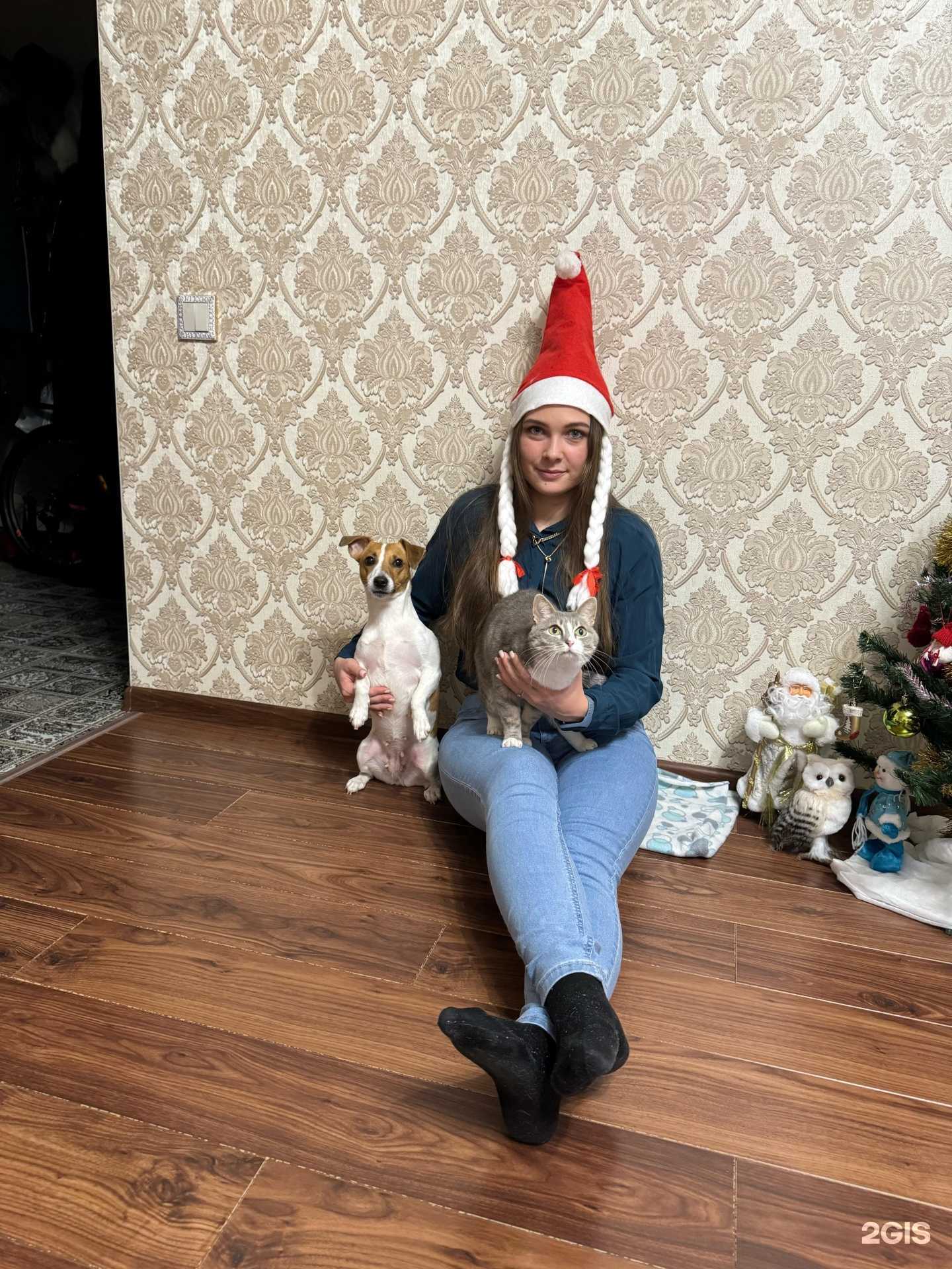 Отзывы на компанию Ветеринарный кабинет в Сыктывкаре c фото