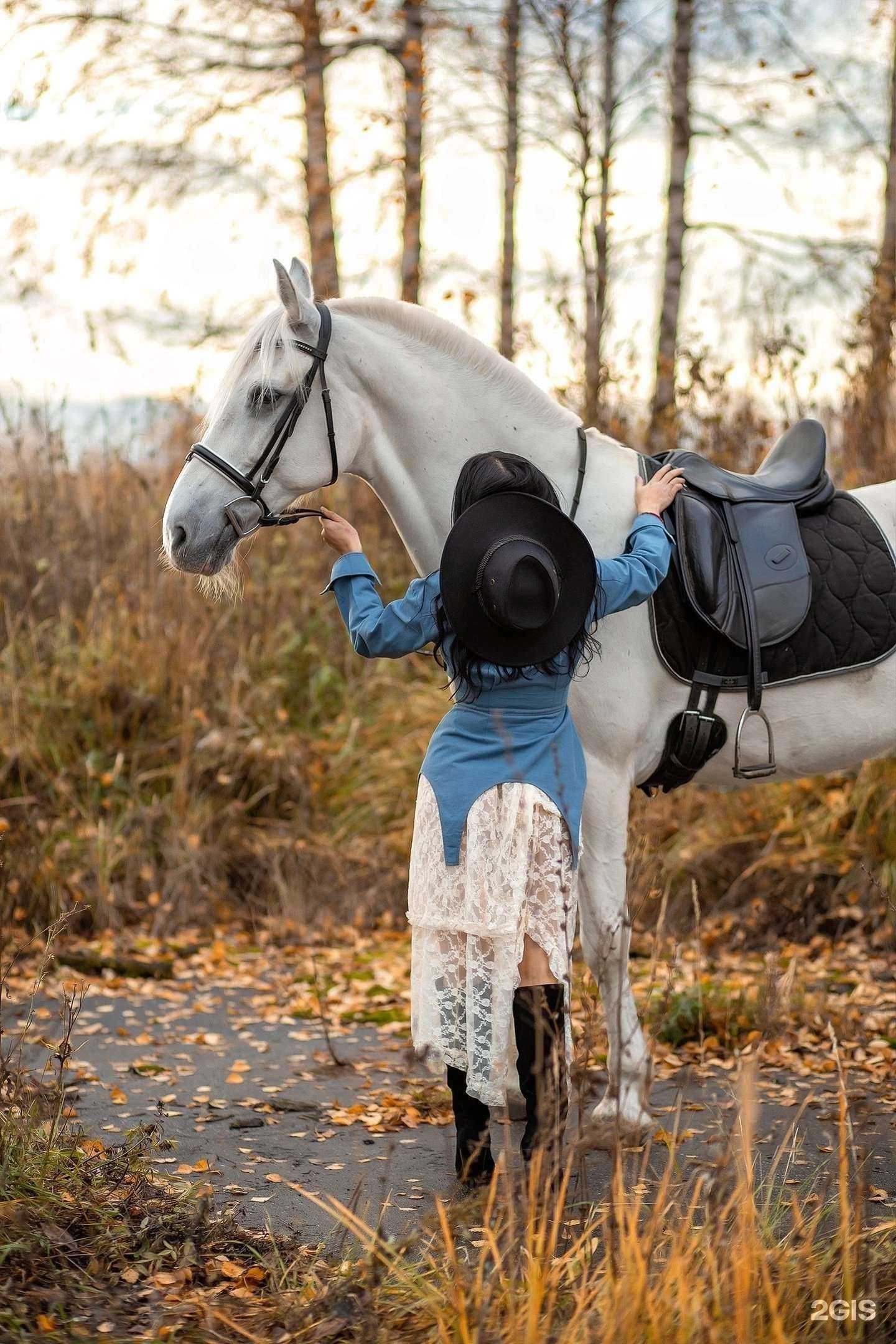 Отзывы на компанию Паркер в Нижнем Новгороде c фото