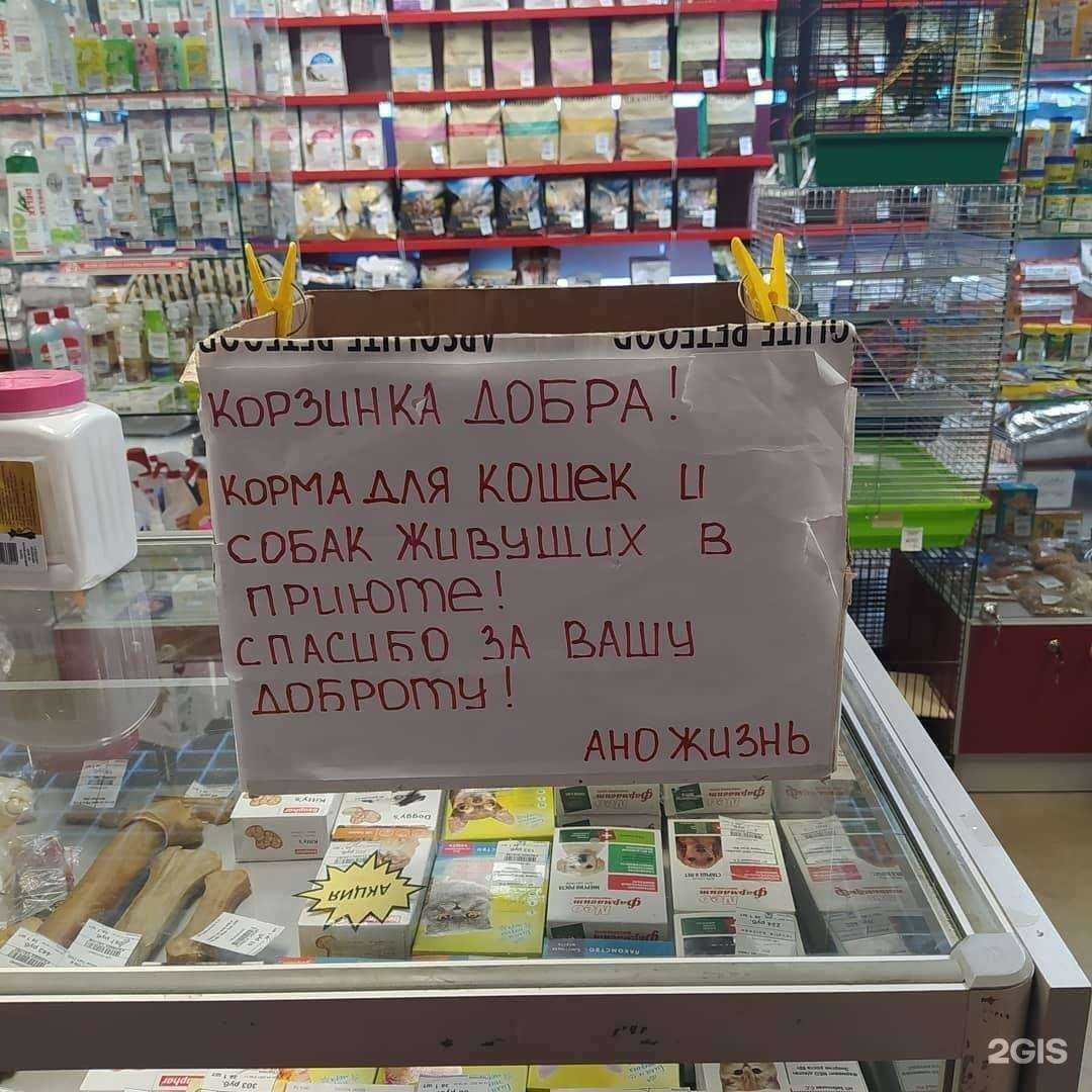 Отзывы на компанию Зоолог в г. Великий Новгород c фото