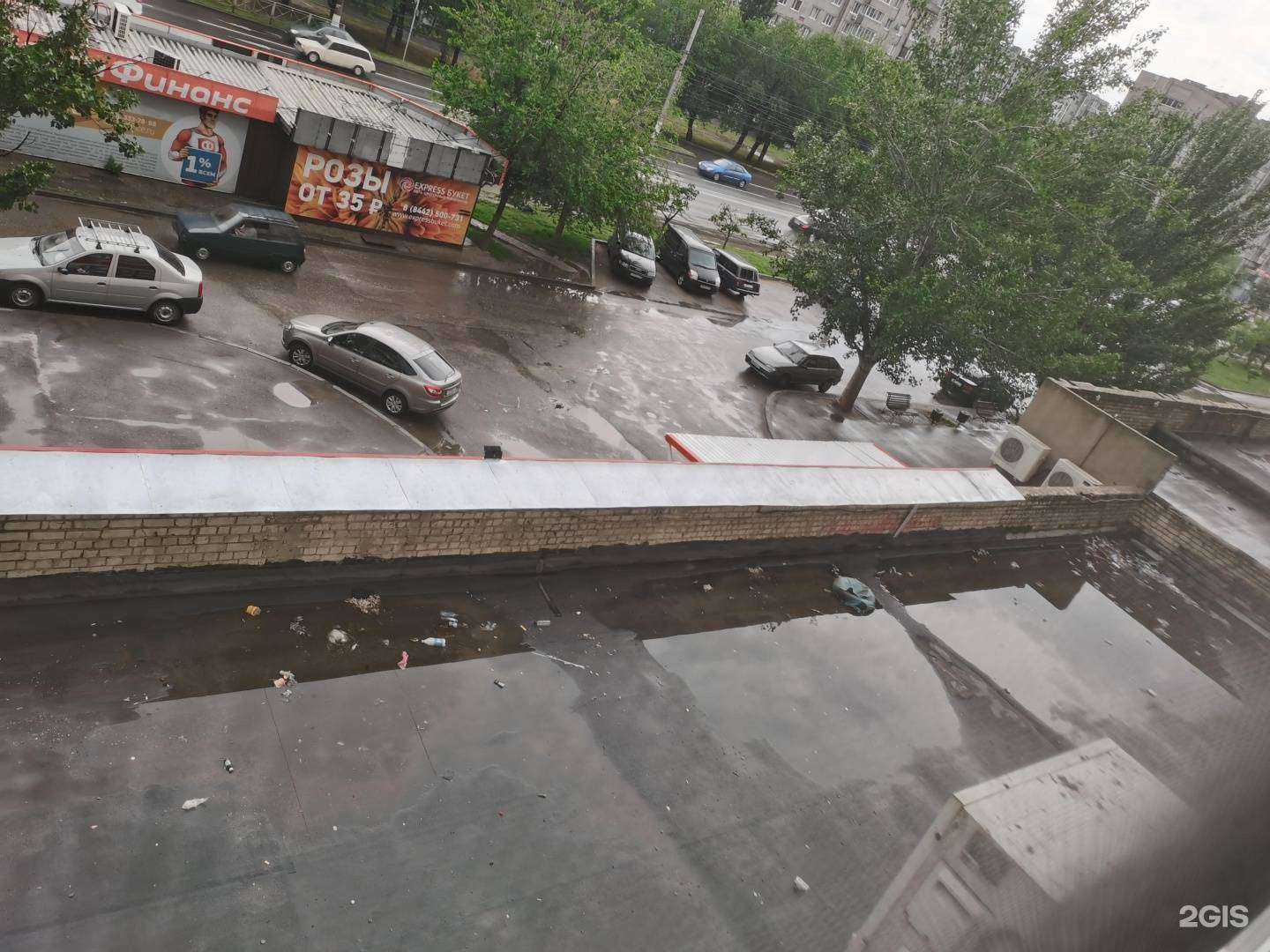 Отзывы на компанию Садовый центр в Волгограде c фото - фотография 2 из 2