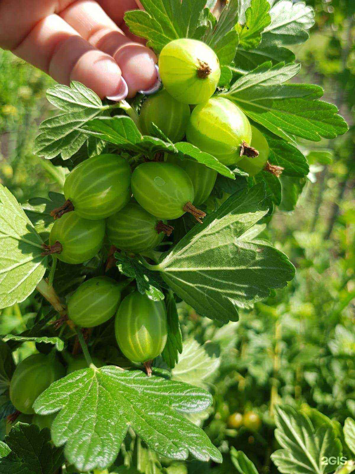 Отзывы на компанию Виктория в Магнитогорске c фото