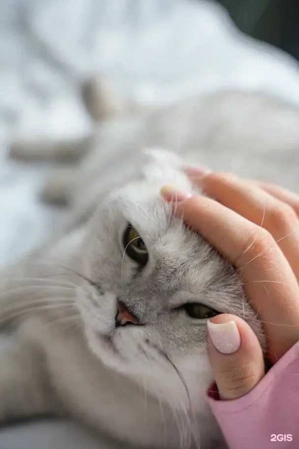 Отзывы на компанию Wonderroom в г. Пермь c фото