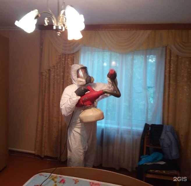 Отзывы на компанию Дез-Эко в Калининграде c фото