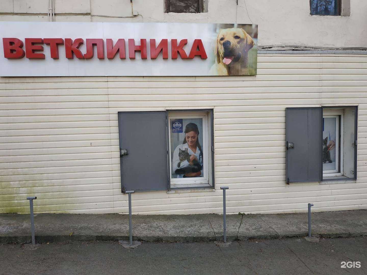 Отзывы на компанию Территория животных в г. Владивосток c фото