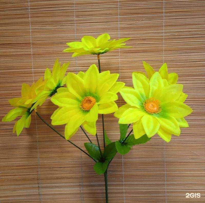 Отзывы на компанию Гармония в Волгограде c фото