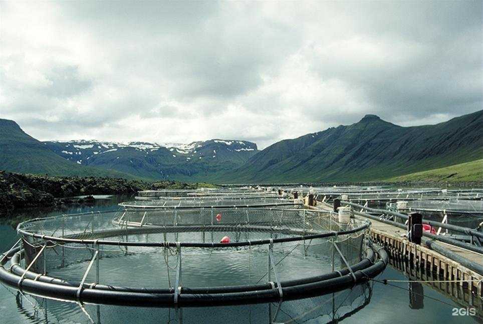 Отзывы на компанию Прямая Япония в г. Владивосток c фото