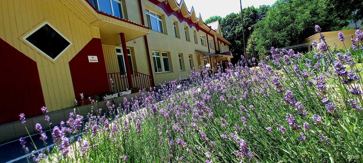 Отзывы на компанию Елочка в Ессентуках c фото