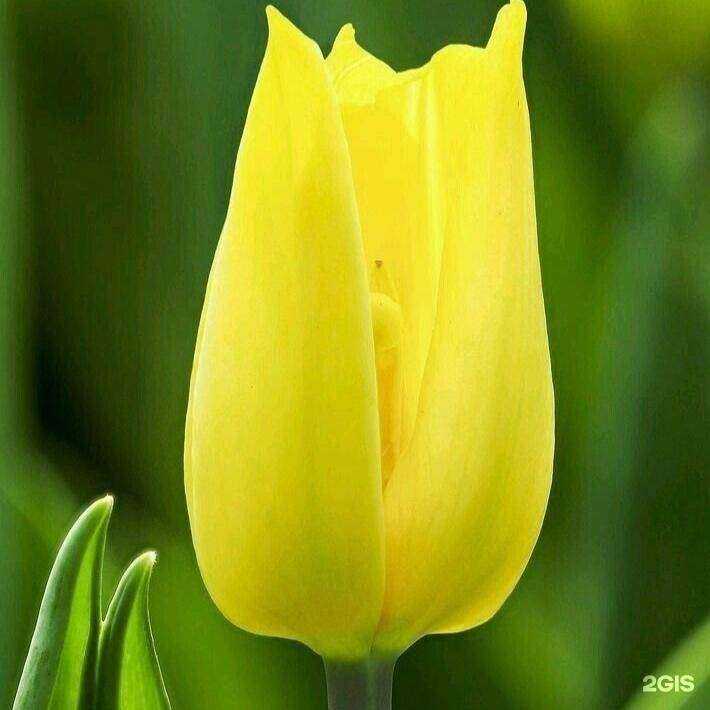 Отзывы на компанию 4 сада в г. Вологда c фото