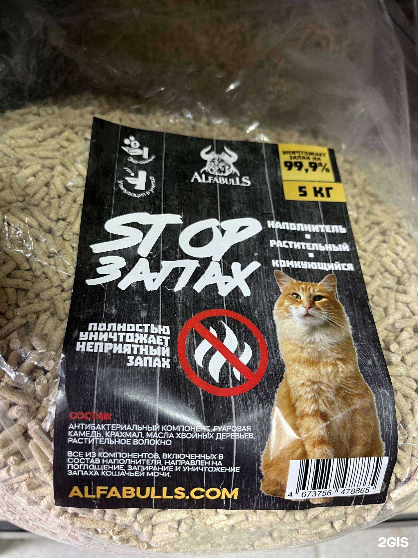 Отзывы на компанию AlfaBulls в Ярославле c фото