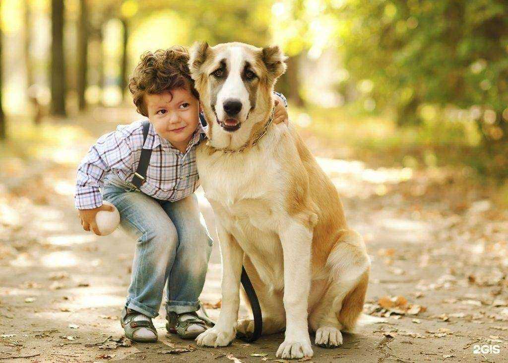 Отзывы на компанию Амикус вет в Люберцах c фото