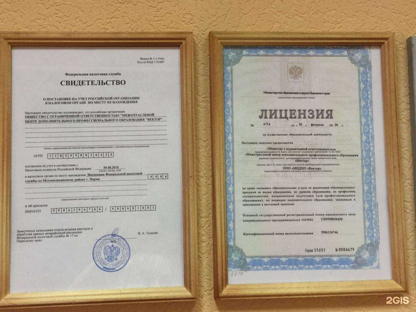 Отзывы на компанию Вектор в Перми c фото